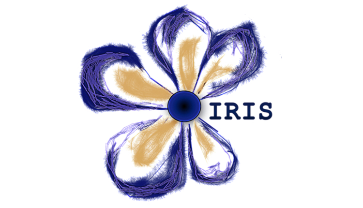 IRIS START-UP Meeting
